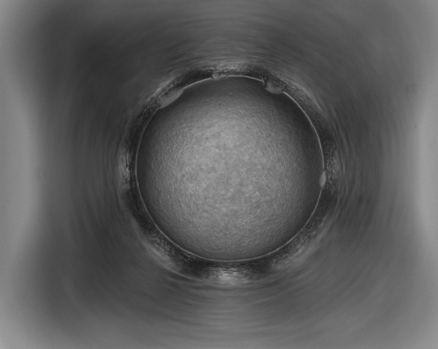 X0000116490264200912161324