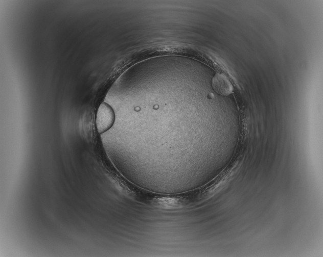 X0000116490265200912161324