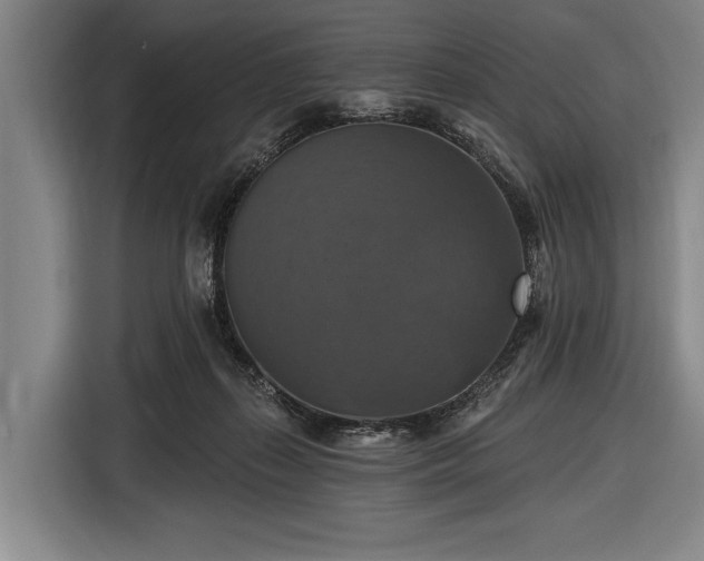 X0000116490267200912161324