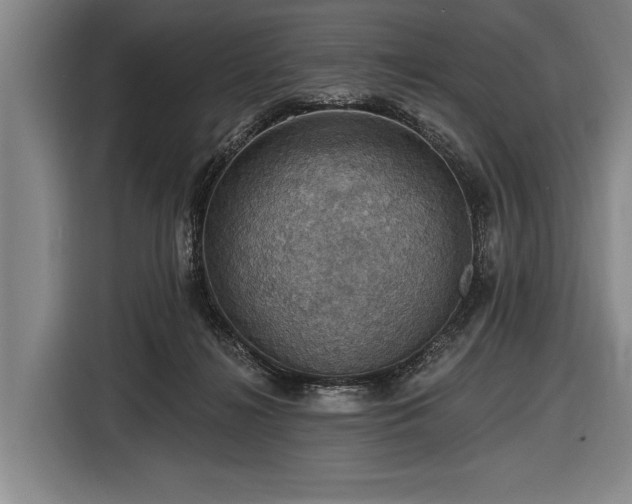 X0000116490268200912161324