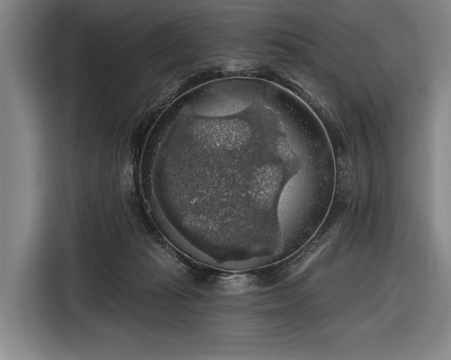 X0000116490269200912161324