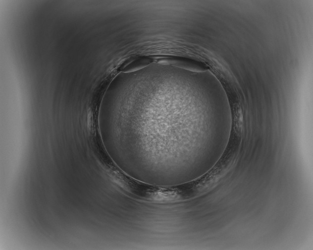 X0000116490270200912161324