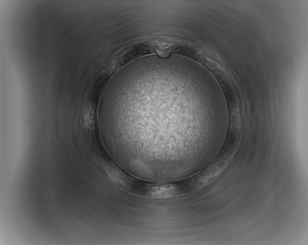 X0000116490274200912161324