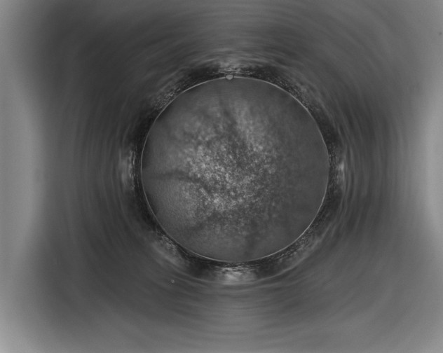 X0000116490275200912161325