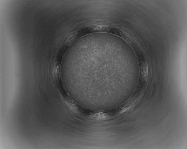 X0000116490276200912161325