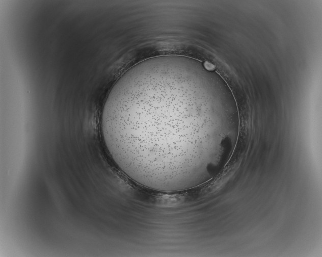 X0000116490277200912161325