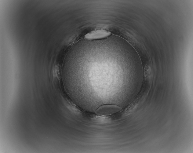 X0000116490280200912161325