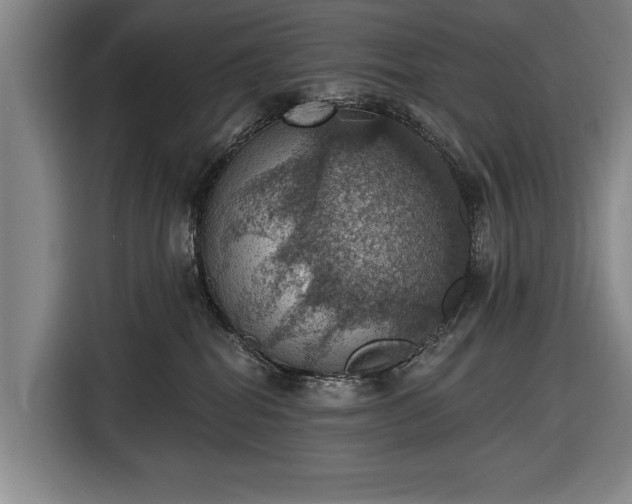 X0000116490282200912161325