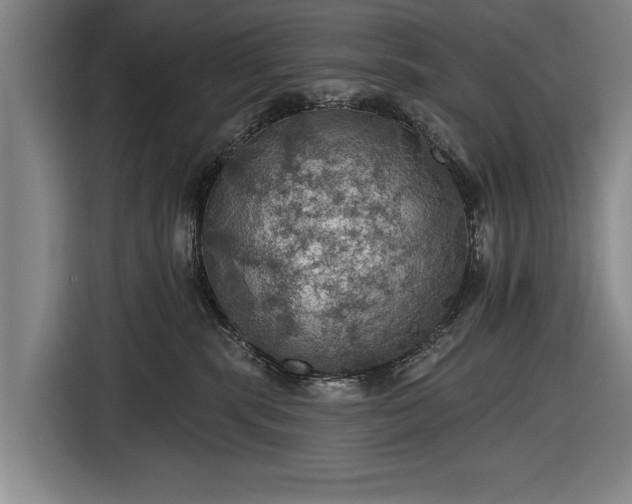 X0000116490283200912161325