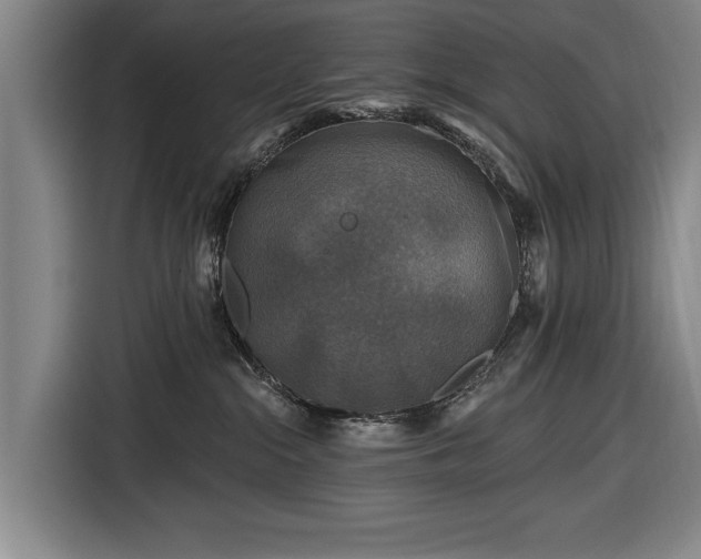 X0000116490284200912161325