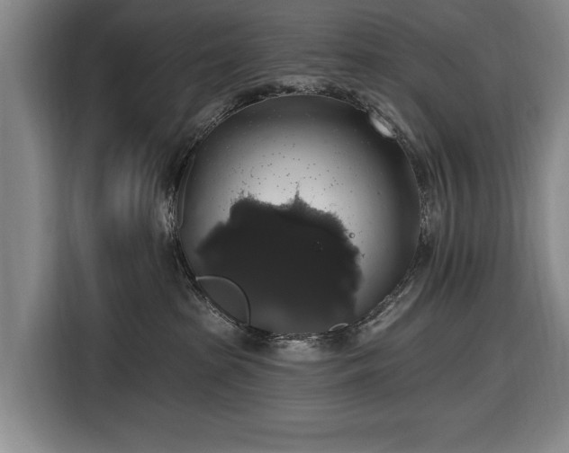 X0000116490285200912161325