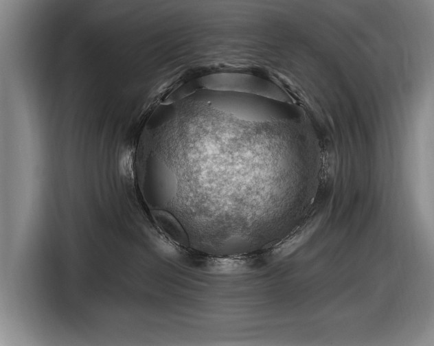 X0000116490286200912161325