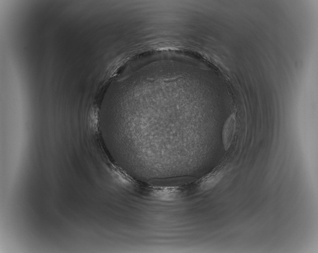 X0000116490288200912161325