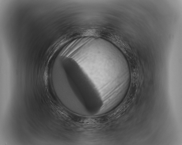 X0000116490290200912161324