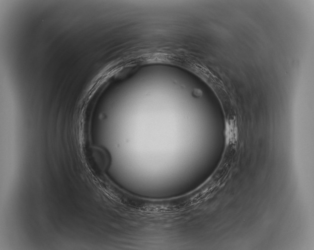 X0000116490291200912161324