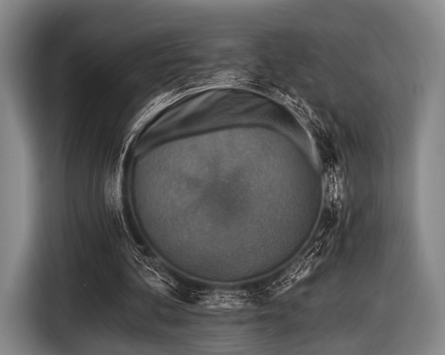 X0000116490292200912161324