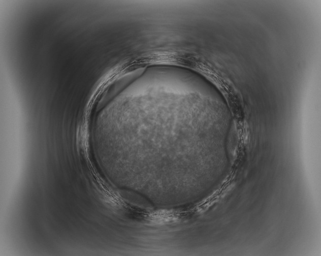 X0000116490293200912161324