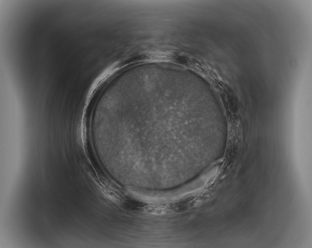 X0000116490294200912161324