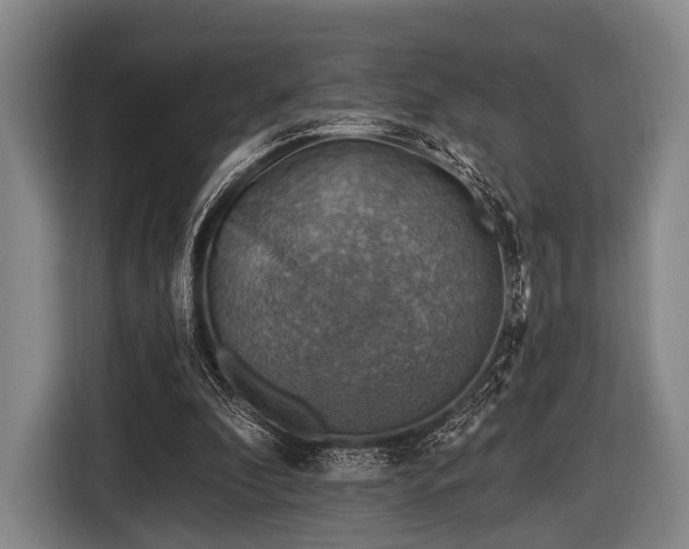 X0000116490296200912161324