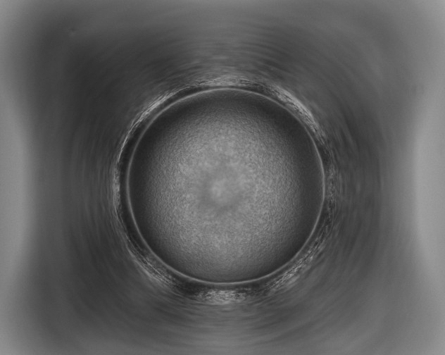 X0000116490298200912161324