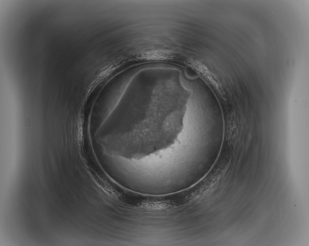 X0000116490299200912161324