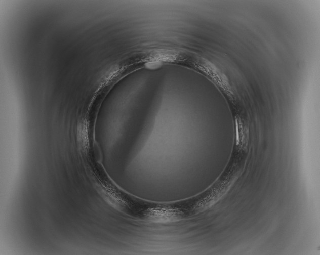 X0000116490300200912161324