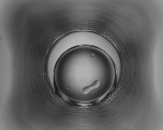 X0000116490301200912161324