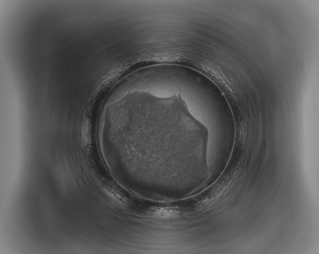 X0000116490303200912161324