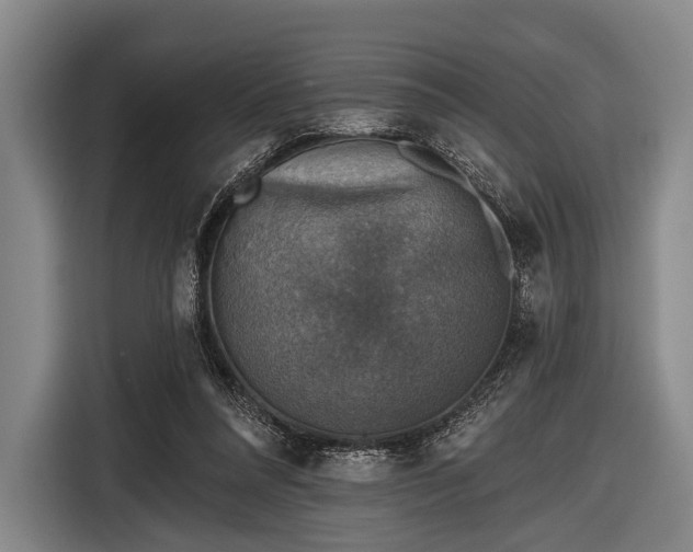 X0000116490304200912161324