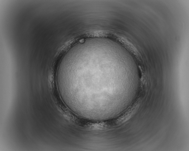 X0000116490306200912161324