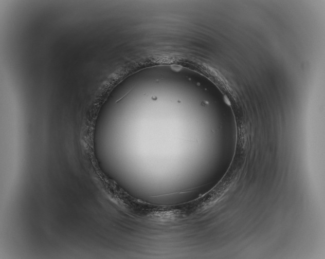 X0000116490307200912161324