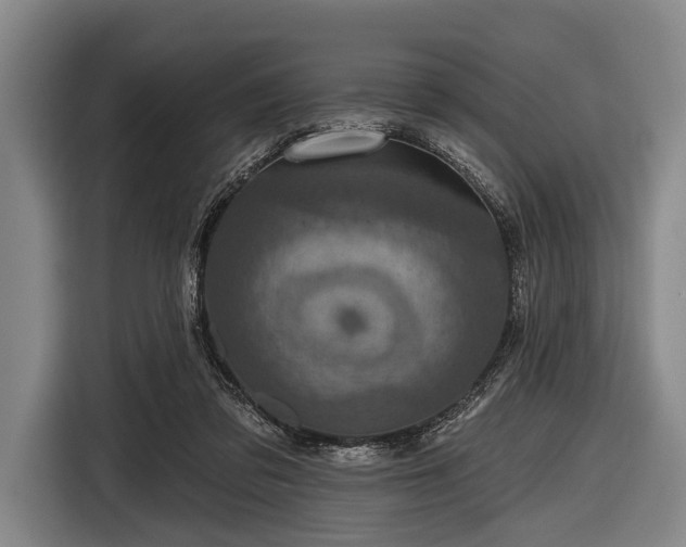 X0000116490309200912161324