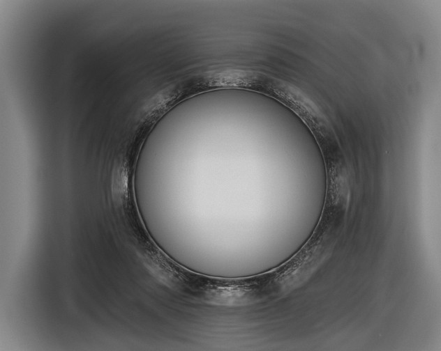 X0000116490310200912161324