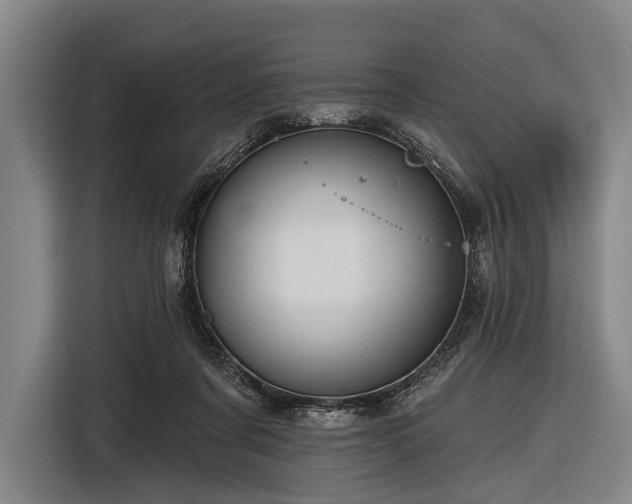 X0000116490311200912161324