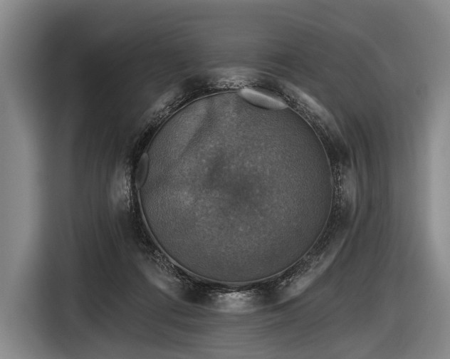 X0000116490312200912161324