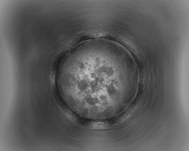 X0000116490315200912161324