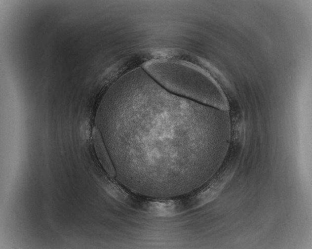 X0000116490317200912161324