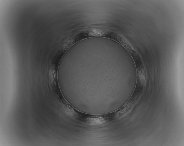 X0000116490322200912161324