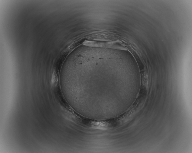 X0000116490324200912161324