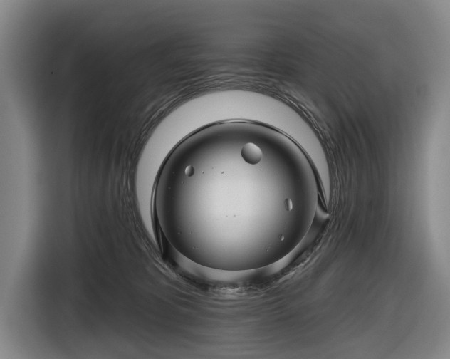 X0000116490325200912161324