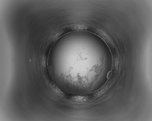 X0000116490326200912161324