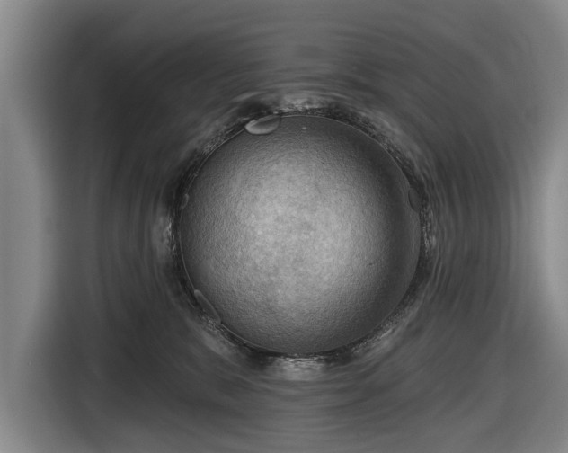 X0000116490327200912161324