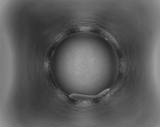 X0000116490329200912161324