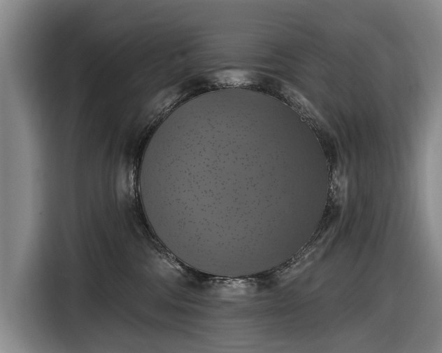 X0000116490330200912161324