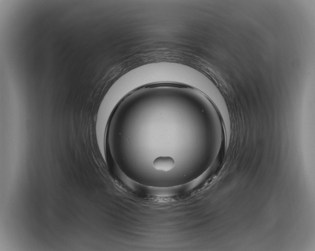 X0000116490333200912161323