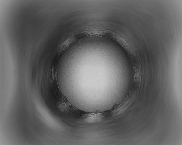 X0000116490334200912161323