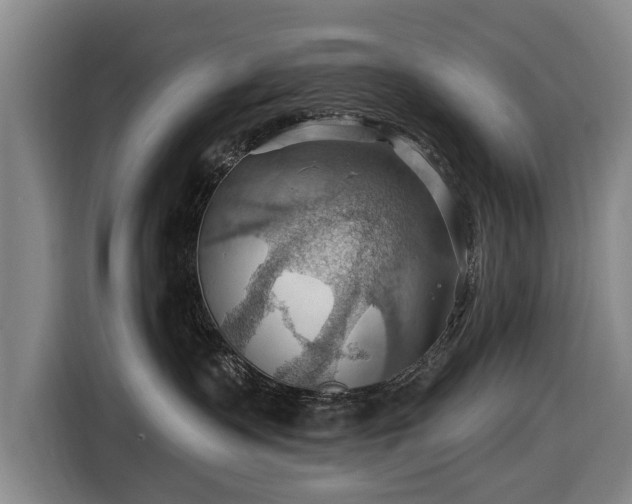 X0000116490335200912161323