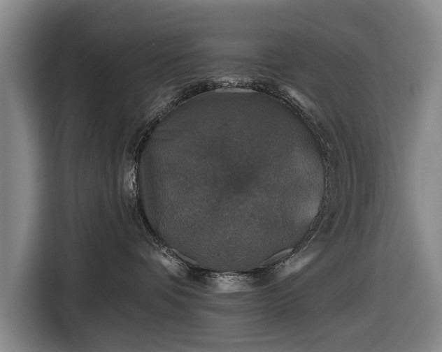 X0000116490336200912161323