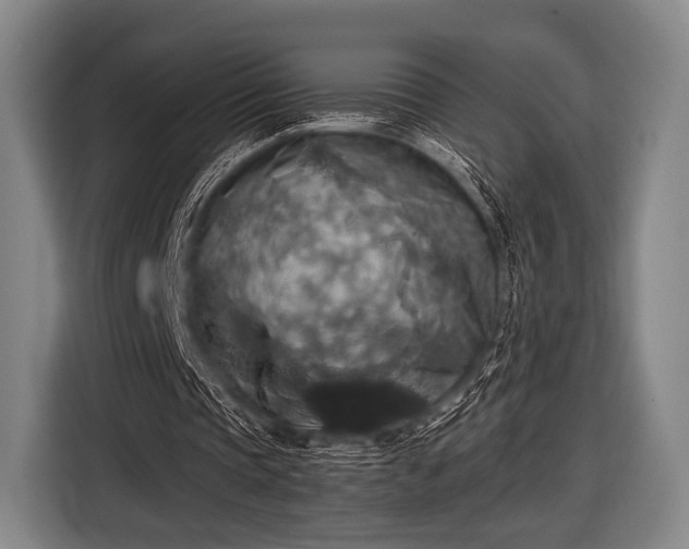 X0000116490337200912161323