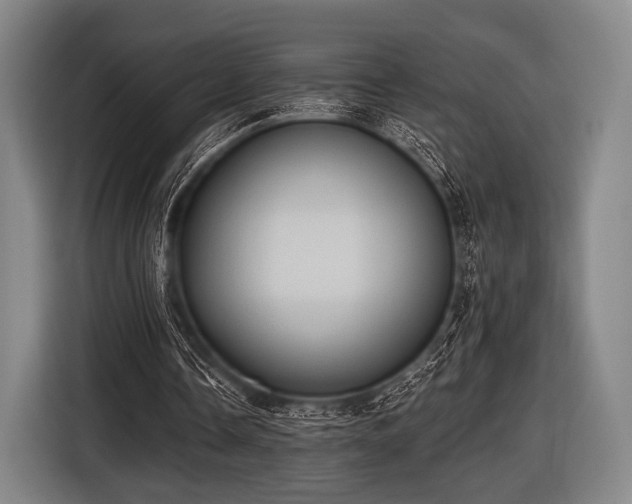 X0000116490338200912161323